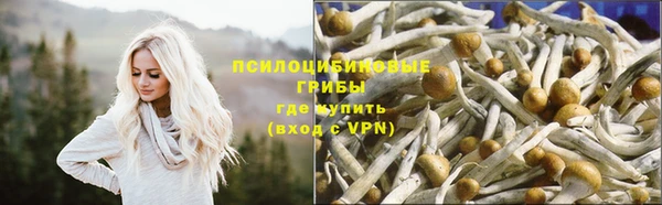 а пвп мука Медногорск