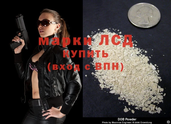 СК Медвежьегорск