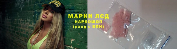 СК Медвежьегорск