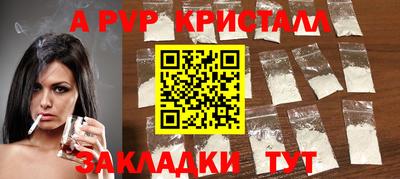 амф Гусев