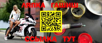 амф Гусев