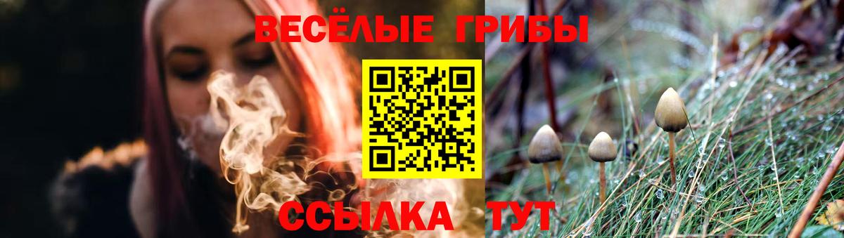 Псилоцибиновые грибы GOLDEN TEACHER Котовск
