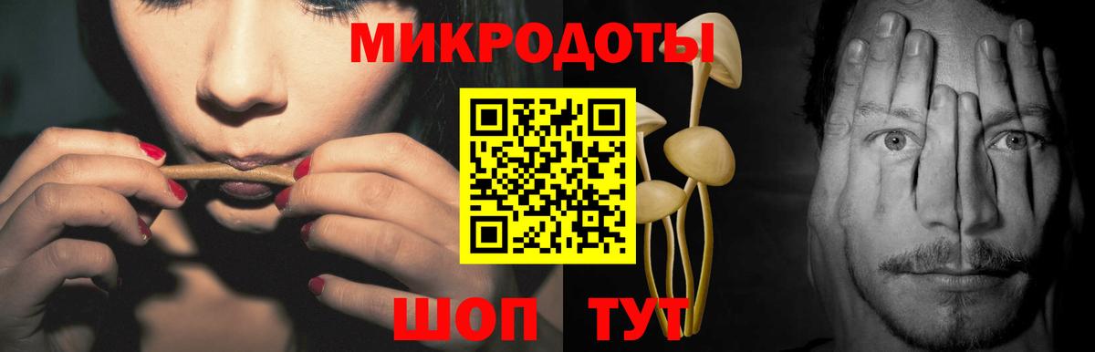 Котовск  Галлюциногенные грибы мицелий  сколько стоит  Вход с VPN 
